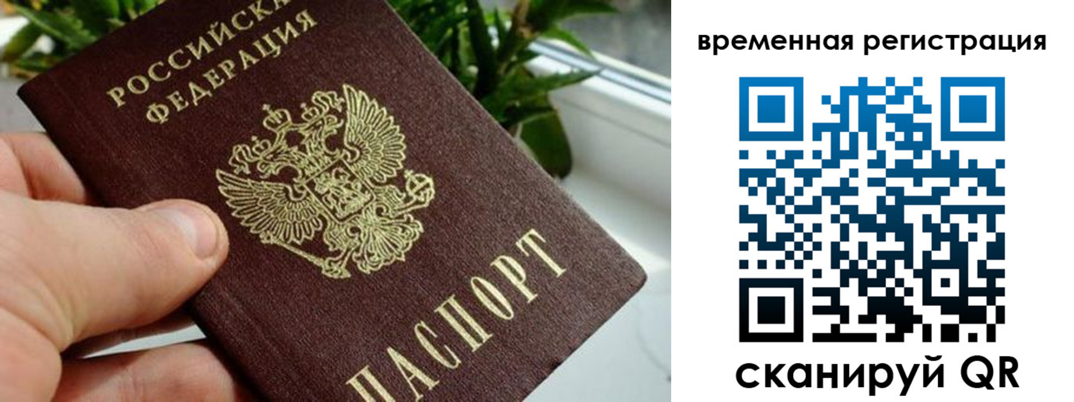 прописка поиск в Гагарине